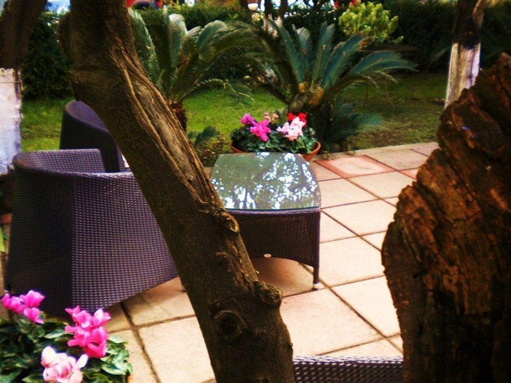 Diana Hotel 3*
